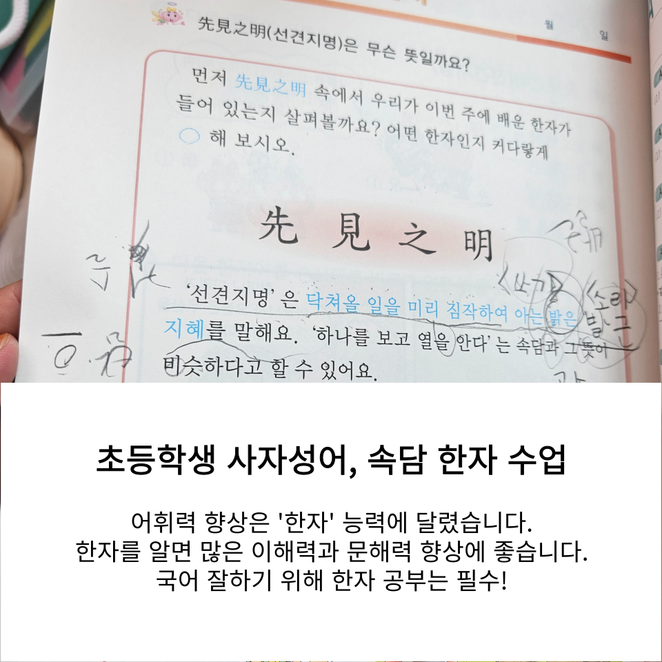 초등 사자성어·속담·한자 수업