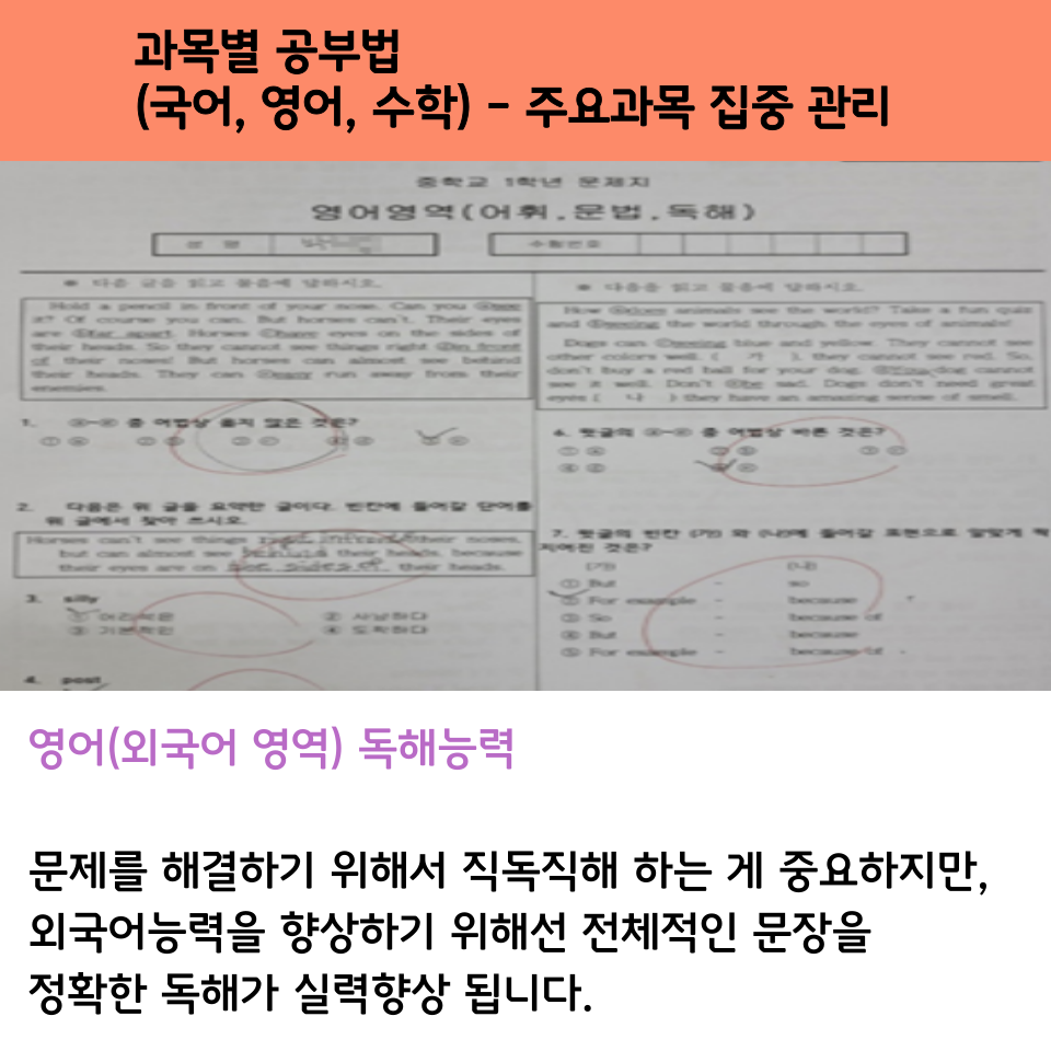 영어 독해 공부법 안내